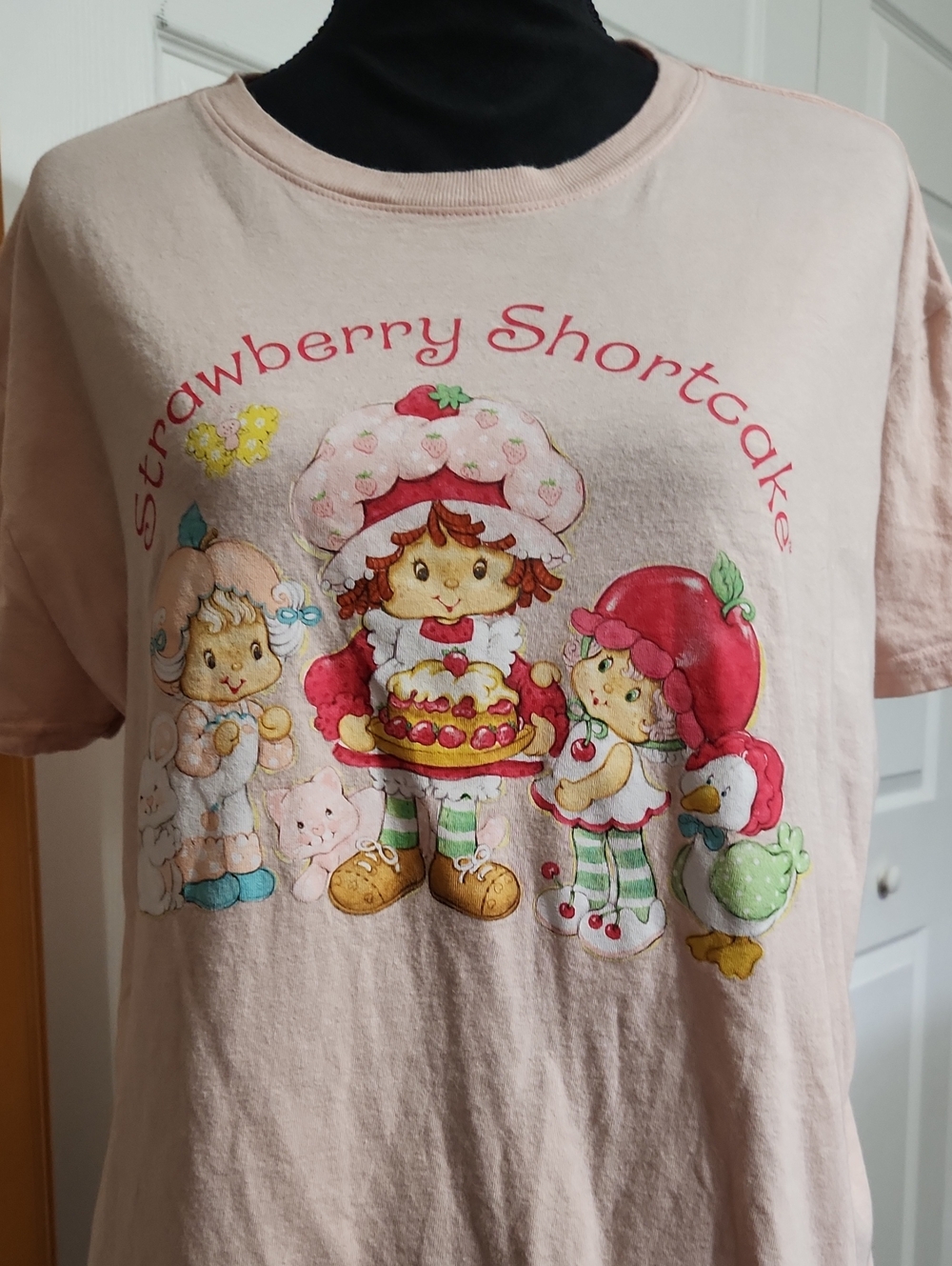 Strawberry Shortcake Pink Graphic Tee - Women's Short Sleeve